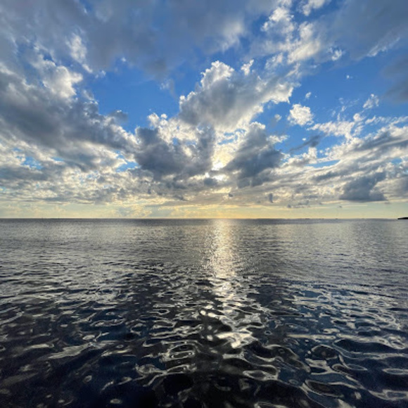 Meet your Posher, Morgan - Picture 1 of 1